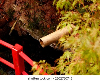 Detail Of A Small Red Bridge And A Bamboo Pipe Seen In A Japanese Style Planted Garden In The UK.