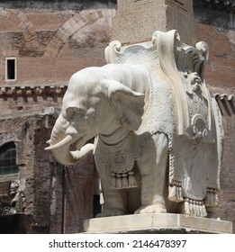 Detail of the statue of an elephant carrying an Obelisk at the Piazza della Minerva Rome Italy