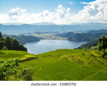 Detail Of The Suriya & Saraswati's Organic Farm In Nepal