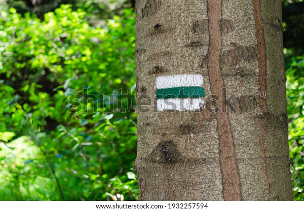 Detail of touristic marking on green hiking trails.\
Marks painted on the tree trunk. Symbol points right way to go.\
Forest navigating map.