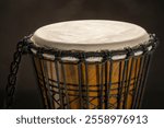 detail of traditional African djembe hand drum