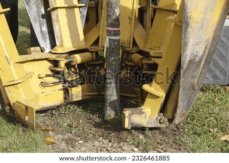 Detail of tree spade blades positioned around the base of a tree in preparation for removal.
