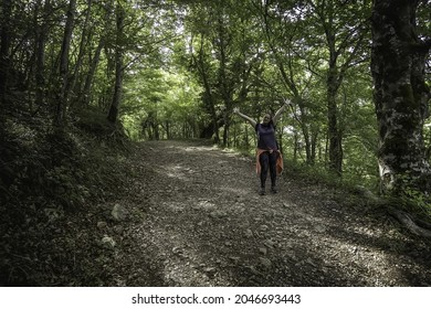 Detail of walk through a deep forest in nature, healthy life and sport