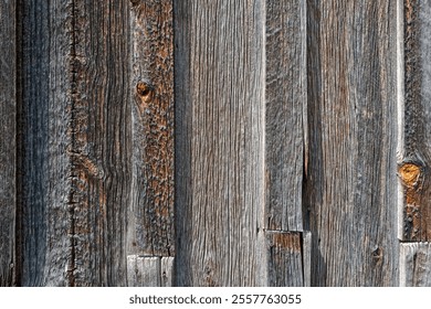 The detail of the wood siding of an abandoned shack - Powered by Shutterstock