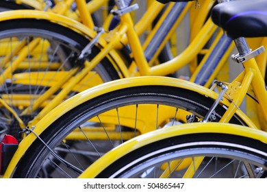 detail of yellow bicycles at parking area, urban transportation concept