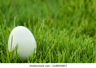 A Detailed Close Up Of A Green Chicken Eggs On Grass