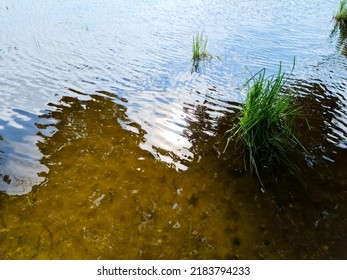 Detailed Close Up View On Water Surfaces With Waves And Ripples And The Sunlight Reflecting At The Surface