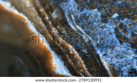 A detailed close-up of an abstract surface featuring a rich interplay of dark blue, brown, and black tones with intricate, organic textures and patterns