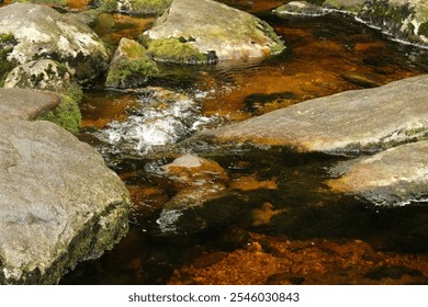 A detailed close-up of a rocky stream with moss covered stones and clear water gently flowing over the rocks - Powered by Shutterstock