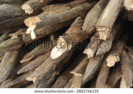 A detailed close-up texture of a rustic pile of raw, unprocessed tree branches intended for use as sustainable natural firewood.