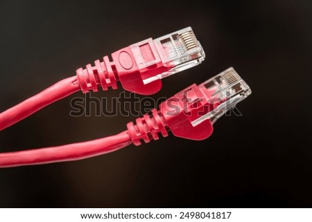 Detailed close-up of two vibrant red Ethernet cables connected, symbolizing modern communication technology. Ideal for illustrating connectivity, networking, and digital infrastructure concepts 