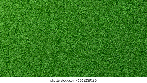 Detailed Green Grass Lawn Texture Background Seen From Above