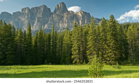 A detailed image of majestic mountain ranges with peaks and valleys covered in lush greenery and scattered forests. The scene features rocky cliffs and rolling hills, with mist clinging to valleys. - Powered by Shutterstock