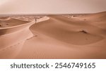 A detailed image of a vast desert with sweeping sand dunes and rocky formations, under a warm sky with golden or pale blue hues that add a serene beauty to the scene.