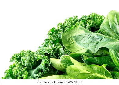 Detailed Macro Of Curly-leafed Kale And Spinach Leaves With White Copyspace