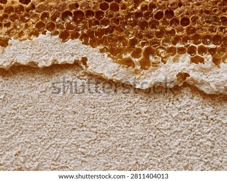 Detailed macro shot showcasing the hexagonal structure of honeycomb cells, some filled with golden honey and others with granular bee pollen.