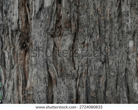 Detailed macro texture of deeply grooved, weathered tree bark (vertical view). Strong grey and black natural patterns. Perfect rustic abstract background or wall art for earthy, nature, and grunge decor. #BarkTexture #AbstractNature #RusticDecor #TreeTrunk