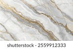 Detailed Marble Texture with Flowing Veins in White, Gray, and Gold Tones