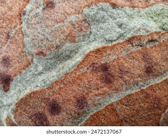 Detailed Mountain Rock Surface Textures: High-Resolution Photos of Rugged Terrain for Natural Landscape Studies, Geological Research, and Creative Design Projects - Powered by Shutterstock