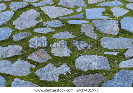  Detailed pattern of old stones in mossy footpath angle view. Ancient architecture background with old stones
