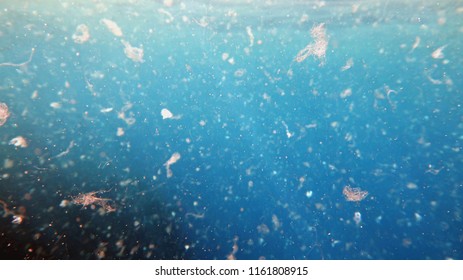 Detailed photography of  sea water contaminated by micro plastic. Environment pollution concept.