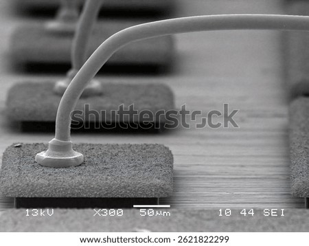 Detailed SEM micrograph of a single Au Cu wire ball bond on a pad, highlighting the bond shape and wire loop start for IC packaging.