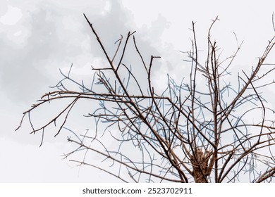 A detailed shot of leafless tree branches silhouetted against a soft cloudy sky, capturing a minimalist natural scene. Ideal for nature or abstract concept designs - Powered by Shutterstock