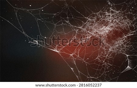 Detailed spider web pattern on moody grainy dark background with arachnid