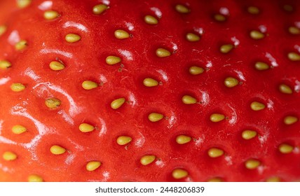 Detailed Surface shot of a Fresh Ripe red Strawberry. Close-up of a fresh strawberry surface