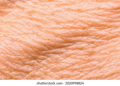 Detailed texture of the aging dry human skin