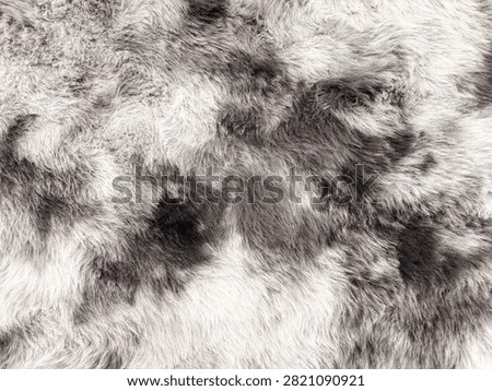 Detailed texture background of soft grey and white natural animal fur or synthetic faux fur pelt, ideal for fashion, interior design, and winter themes.