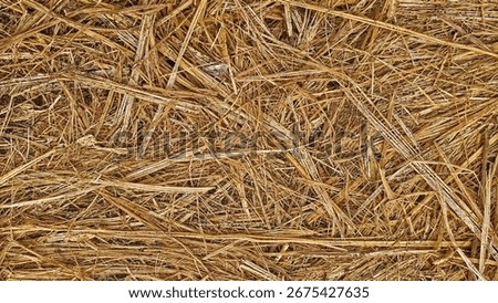 Detailed texture of dry hay, ideal for livestock feed, agriculture use, or eco-friendly natural design.