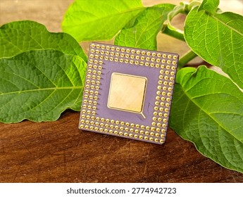A detailed view of a ceramic computer processor with gold pins, set against lush green leaves on a wood surface. This conceptual image highlights e-waste recycling, gold recovery, and the environmental benefits of a circular economy.