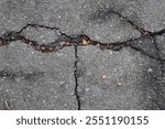 Detailed view of cracked pavement with small debris and leaves lodged in the gaps, highlighting textures and urban decay.