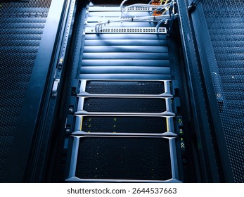 A detailed view of a data center server rack showcasing high-performance servers and network equipment in an organized and efficient environment.
