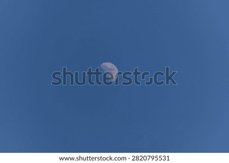 Detailed view of a half moon centered in a deep blue early night sky during dusk