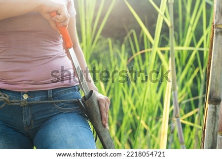 detailed view of a latin peasant woman putting her machete in the leather sheath, after finishing her workday, with a beautiful golden sunset in the background. concept of female entrepreneurship