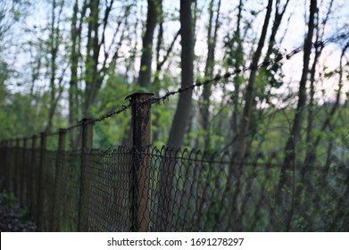 Detailed view on a fence (wire mesh) and barbed wire in a green landscape with trees - Powered by Shutterstock