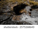 A detailed view of a rocky streambed with water flowing over textured limestone formations, showcasing nature