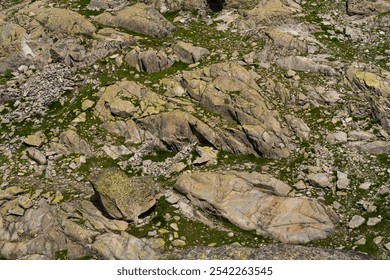 A detailed view of a rocky terrain featuring large boulders and scattered stones, interspersed with patches of green vegetation. The rugged landscape - Powered by Shutterstock