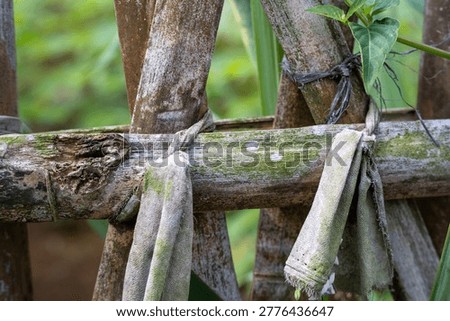 A detailed view of a rustic fence intersection where a horizontal bamboo pole is tied to vertical poles using a frayed, dark cloth strip.