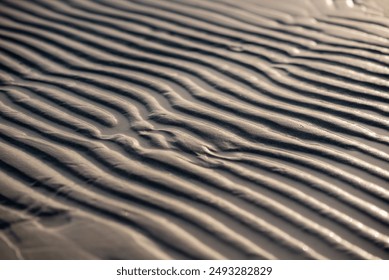 A detailed view of a sandy terrain with rippling waves, showcasing the natural environment of sand dunes and the unique feature of singing sand - Powered by Shutterstock