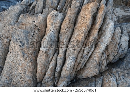 Detailed view of a textured rock formation featuring unique striations, showcasing nature's artistry in geology at the coast.