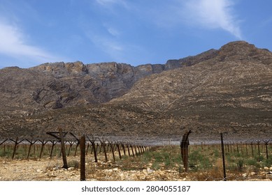 제목: Detailed view of vineyard trellis structures in front of a majestic rocky mountain facade in Western Cape, South Africa, September 12, 2017.