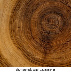 Detailed warm dark brown and orange tones of a felled tree trunk or stump. Rough organic texture of tree rings with close up of end grain. - Shutterstock ID 1536856445