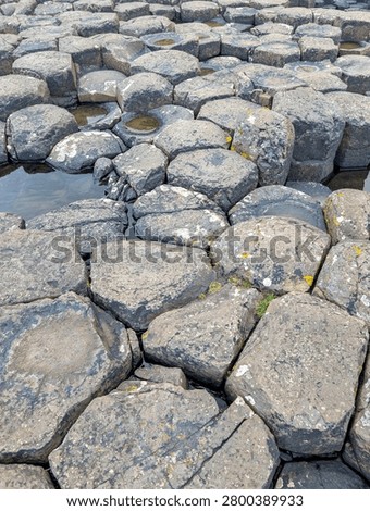 Detailed Wet Hexagonal Basalt Columns with Water Pools at Giants Causeway