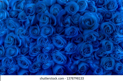 Detailof Blue Roses Flowers Treated Stock Photo 1378798133 | Shutterstock