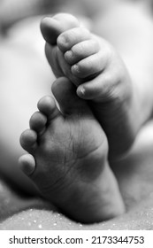 Details Of The Foot Of A Six Month Old Baby, Female. A Black And White Photo Depicts Details Of The Newborn's Feet And Toes.