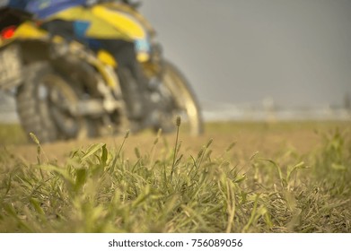 Details Of Grass Roots On Board A Enduro Or Motocross Track, With A Blurry Crossword On A Blurry Crossroads Crossing A Curve