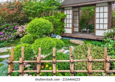 Details Of Japanese Backyard Garden. Oriental Nature Background
